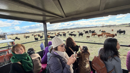 Los visitantes chinos pudieron ver el ganado de Baltasar Ibán en plena naturaleza