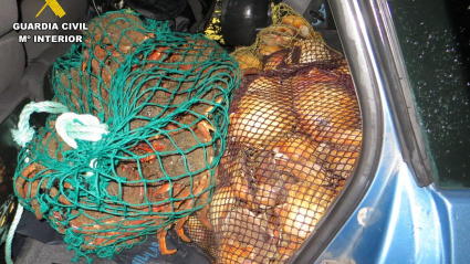 Una parte del marisco en el interior del vehículo