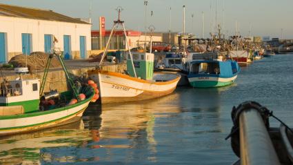 Imagen de recurso del puerto de Barbate
