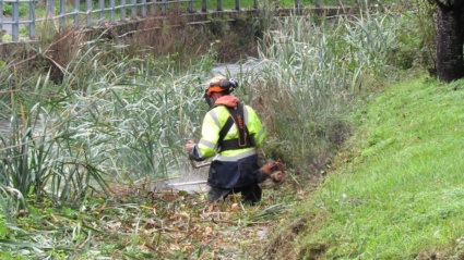 Retirada de vegetación en el río Basteiro