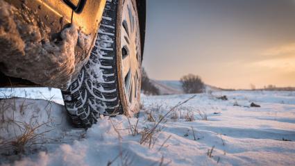 Neumáticos para la nieve