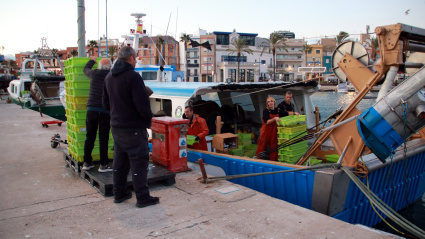 En la Confraria Verge del Carme de la Ràpita, su secretario, Joan Balagué, calcula que los días extra les permitirán "salir a pescar todos los días que quedan" hasta acabar el año