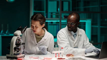 Biracial scientists working in team on synthetic meat alternative sitting at their workplace in lab