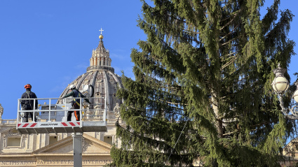 CIUDAD DEL VATICANO, 27/11/2025.-Un gran abeto de 27 metros de altura procedente del norte de Italia quedó instalado este jueves en la Plaza de San Pedro del Vaticano para ser decorado como árbol de Navidad, en el inicio de los preparativos de las próximas fiestas. Se trata de un "abeto rojo" procedente de la provincia de Bolzano en Trentino-Alto Adigio y que ha sido donado por los municipios de Lagundo y Ultimo.Como es tradicional, también se instalará un Belén que este año llegará de Nocera Superiore, provincia de Salerno (sur) y que recrea elementos típicos de la zona, incluido el baptisterio paleocristiano. EFE/ Daniel Cáceres