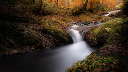 Río y cascada en plena naturaleza