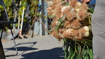 Jornadas de la Cebolleta en Consuegra