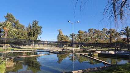 Centro de Acuicultura Vegas del Guadiana