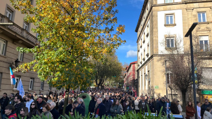 Fueron muchos los ciudadanos y ciudadanas que se acercaron hasta Ferrol para pedir mejoras en el tren