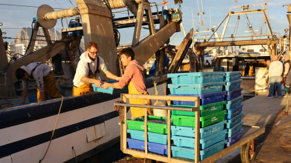 Cofradía de Pescadores de Villajoyosa