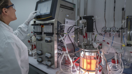 Vacuna de la peste porcina