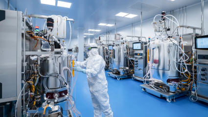 Vacuna de la peste porcina