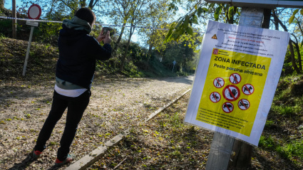 Aspecto de uno de los accesos al Parque Natural de Collserola, alertando de la presencia de la peste porcina hallada en jabalíes autóctonos de la zona. EFE/Enric Fontcuberta