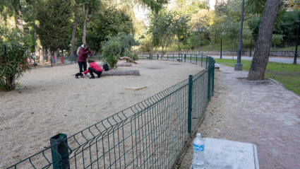 Vista del Parque de la Concordia, situado en pleno centro de Jaén, donde esta madrugada han aparecido los cuerpos sin vida de dos chicas adolescentes, de 15 y 16 años