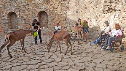 Programa Ecociudadela
