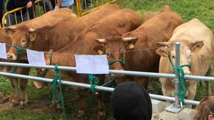 Subasta de Acruga en el municipio de Cervantes