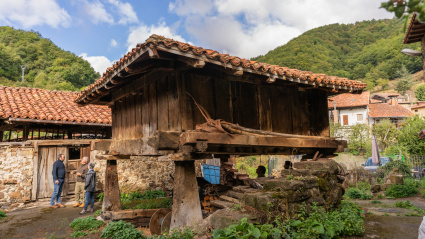 Hóreno de Avellanedo