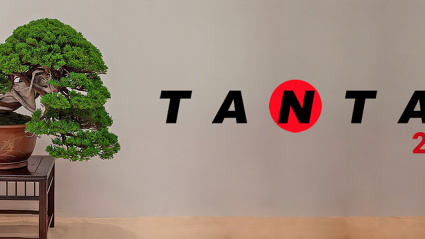 Bonsais cuidados con arte