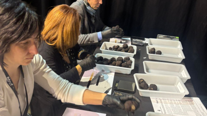 La trufa, en 'Agropopular'