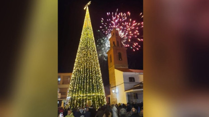 Árbol Cazalegas, Toledo