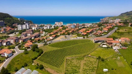 Vista de Bakio y sus viñedos