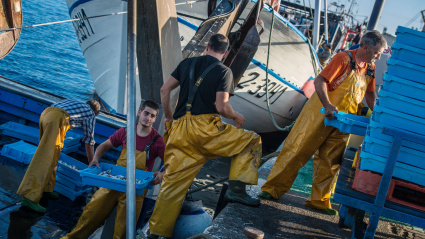 Pescadores empaquetando sus capturas para el mercado, Palamós
