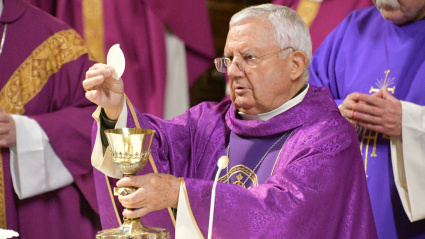 Ramón del Hoyo López, Obispo Emérito