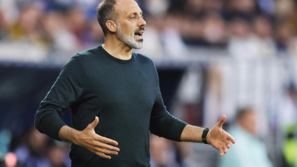 Sinsheim (Germany), 09/04/2023.- Hoffenheim's head coach Matarazzo Pellegrino reacts during the German Bundesliga soccer match between TSG 1899 Hoffenheim and FC Schalke 04 in Sinsheim, Germany, 09 April 2023. (Alemania) EFE/EPA/RONALD WITTEK CONDITIONS - ATTENTION: The DFL regulations prohibit any use of photographs as image sequences and/or quasi-video.