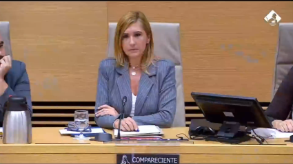 Salomé Pradas en la Comisión del Congreso