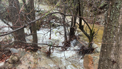 Vista del río Laroya, con más agua de lo habitual debido a últimas lluvias debido a la presencia de la borrasca Emilia