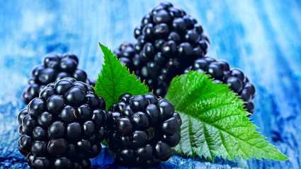 Imagen de recurso de zarzamoras