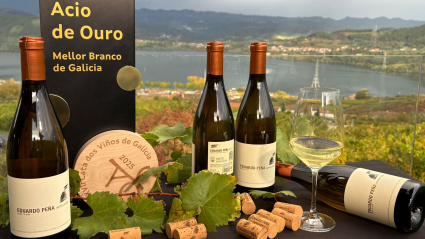 Vino premiado en Galicia