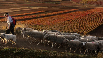 Ganaderos en La Rioja