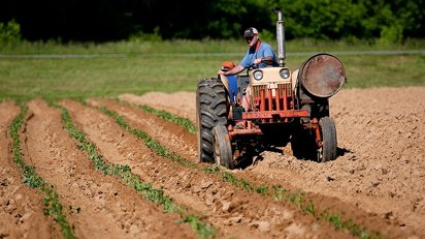 Un agricultor en su tractor