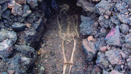 Yacimiento Arqueológico Maipés, Agaete, Gran Canaria