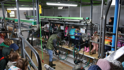 La última actividad