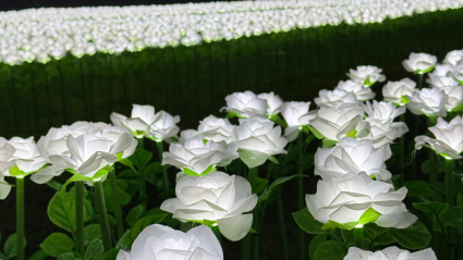 El Jardín Infinito estará en el Pazo de San Lourenzo hasta el 9 de diciembre