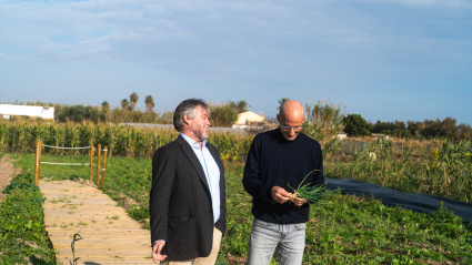 Fernando Aliño y Óscar Iglesias de 'Maravella'