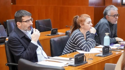 Los portavoces de IU y Podemos en las Cortes, Álvaro Sanz y Andoni Corrales.