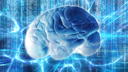 2J2HDTF human brain and electric waves