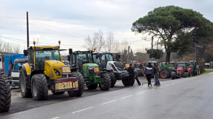 La gestión de la dermatosis nodular es otro de los puntos calientes de la protesta.
