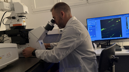 (Foto de ARCHIVO)Un investigador con un microscopioREMITIDA / HANDOUT por HOSPITAL 12 DE OCTUBREFotografía remitida a medios de comunicación exclusivamente para ilustrar la noticia a la que hace referencia la imagen, y citando la procedencia de la imagen en la firma17/10/2025