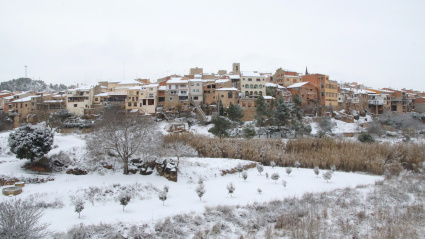 Vimbodí i Poblet nevado