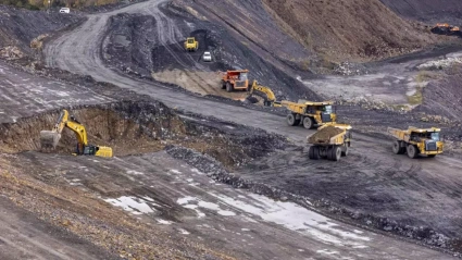 Mina Miura, en Tormaleo (Ibias)