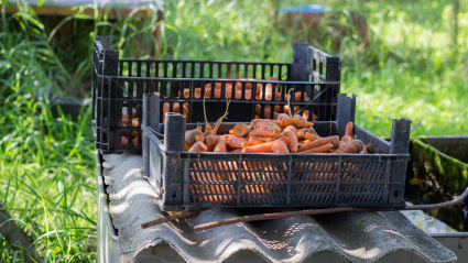 Aunque los salarios nominales puedan aumentar, el incremento constante de los precios anula ese efecto