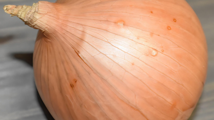 Sin embargo, no todas las cebollas sirven. Este año, la que ha ofrecido un mejor pronóstico ha sido la conocida como la cebolla del ‘carter’ (cartero).