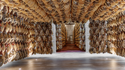 Campus del Jamón de Monte Nevado, en Carbonero el Mayor
