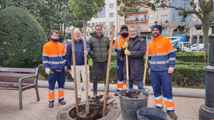 Plantación de árboles en Logroño