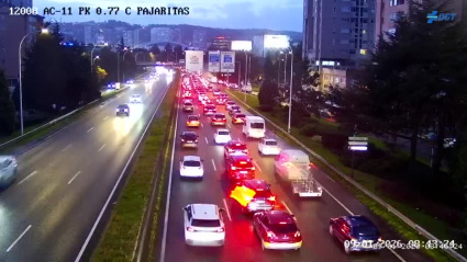 Atasco en Alfonso Molina a la altura de Pajaritas