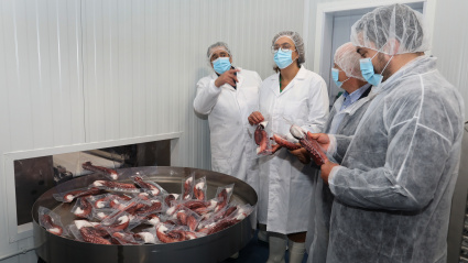 El empresario Conrado Merino(I) junto a la  presidenta de la Diputación, Ángeles Armisén(2I), acompañada del diputado de Desarrollo Socioeconómico, Francisco Pérez(D), en una visita institucional a la empresa Merpacífico