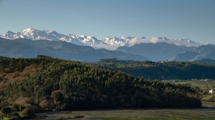 Vista de los Picos de Europa al fondo con nieve